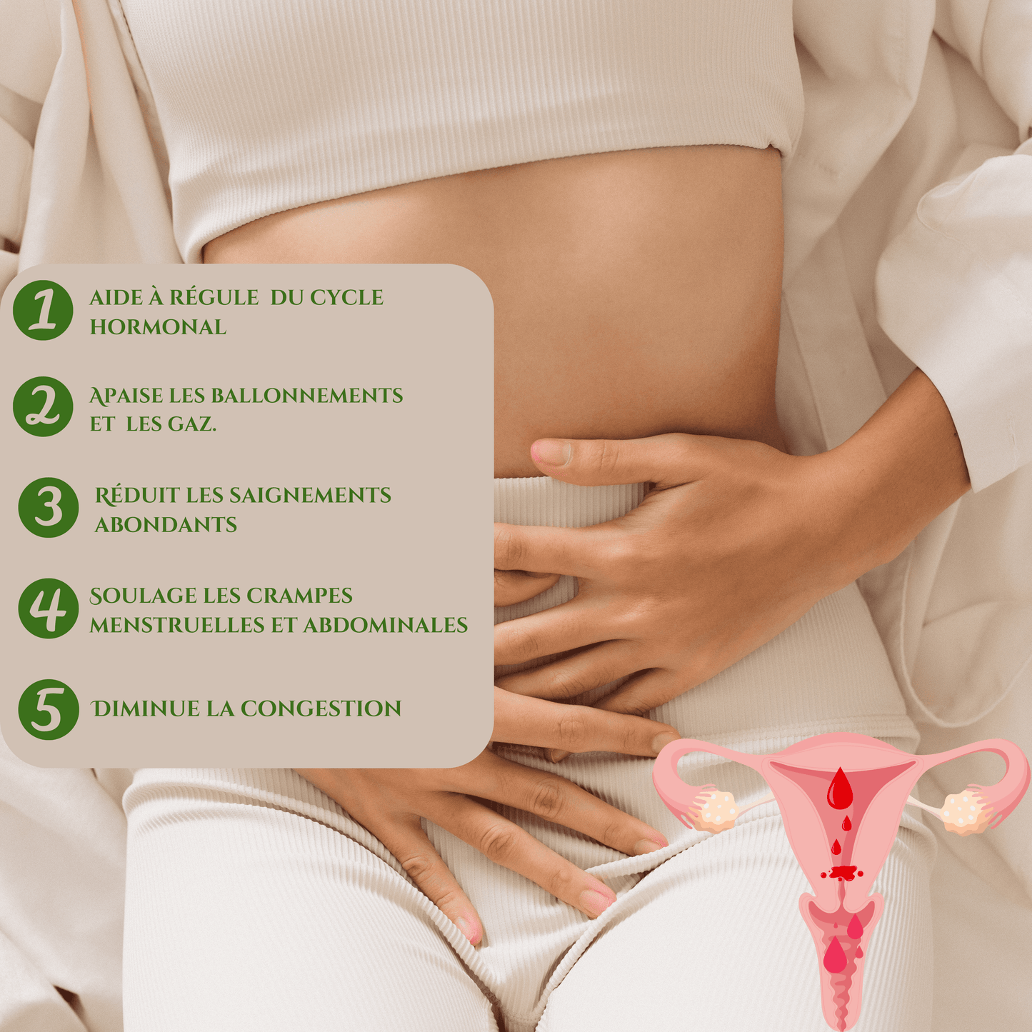 TISANE ÉQUILIBRE HORMONAL